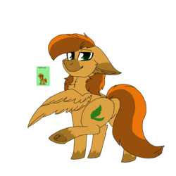 Size: 2560x2560 | Tagged: safe, artist:brokensilence, oc, oc only, oc:sunlit leaf, pegasus, pony, pony town, butt, chest fluff, ear fluff, freckles, high res, male, plot, raised hoof, rear view, simple background, stallion, transparent background, unshorn fetlocks