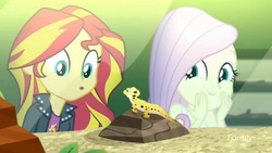Size: 1366x768 | Tagged: safe, screencap, fluttershy, ray, sunset shimmer, leopard gecko, lizard, equestria girls, g4, my little pony equestria girls: summertime shorts, pet project, female, giggling, happy, i see what you did there, ooh, terrarium