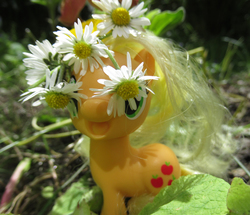 Size: 1800x1550 | Tagged: safe, artist:travelling-my-little-pony, applejack, earth pony, pony, g4, daisy (flower), floral head wreath, flower, flower in hair, garland, happy, irl, photo, photography, silly, silly pony, toy, who's a silly pony