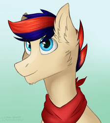 Size: 4500x5000 | Tagged: safe, artist:xanderserb, oc, oc only, oc:zephyr leaf, pony, absurd resolution, bandana, blue eyes, bust, gradient background, looking up, male, solo
