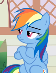 Size: 666x870 | Tagged: safe, screencap, rainbow dash, pony, daring done?, g4, crossed arms, female, mare, solo