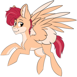 Size: 3556x3556 | Tagged: safe, artist:maximkoshe4ka, oc, oc only, pegasus, pony, high res, male, simple background, solo, stallion, transparent background