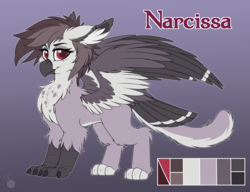 Size: 1953x1500 | Tagged: safe, artist:meggchan, oc, oc only, oc:narcissa, griffon, beak, claws, ear piercing, fluffy, piercing, reference sheet, solo, tail feathers, talons, wings
