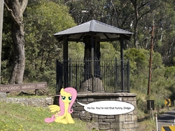 Size: 1210x905 | Tagged: safe, artist:didgereethebrony, fluttershy, pony, g4, australia, bad joke, blue mountains, dialogue, explorers tree, fluttertree, i'd like to be a tree, irl, memorial, monument, photo, ponies in real life, solo, speech bubble, tree, tree stump, unamused, unfunny