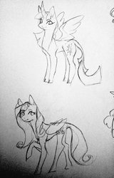 Size: 655x1024 | Tagged: safe, artist:bebbies, fluttershy, twilight sparkle, alicorn, pegasus, pony, g4, black and white, cloven hooves, curved horn, duo, female, grayscale, horn, leonine tail, mare, monochrome, raised hoof, sketch, traditional art, twilight sparkle (alicorn)