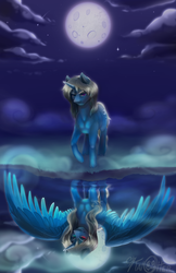 Size: 792x1224 | Tagged: safe, artist:katotter, oc, oc only, alicorn, pony, unicorn, alicorn oc, antagonist, commission, evil smile, grin, heterochromia, moon, moonlight, night, reflection, smiling, solo, water