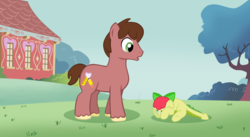 Size: 1024x563 | Tagged: safe, artist:ludiculouspegasus, oc, oc only, oc:apple spice, oc:orchid, dracony, hybrid, g4, blank flank, crying, cutie mark, duo, grass field, interspecies offspring, male, offspring, parent:apple bloom, parent:spike, parents:spikebloom, ponyville schoolhouse, shy, stallion