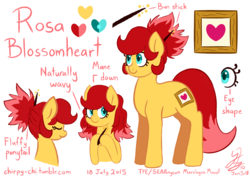 Size: 1190x842 | Tagged: safe, artist:chirpy-chi, oc, oc only, oc:rosa blossomheart, malaysia, reference sheet, solo