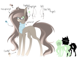 Size: 1050x776 | Tagged: safe, artist:hyshyy, oc, oc only, oc:willow tree, earth pony, pony, clothes, female, glasses, mare, reference sheet, scarf, simple background, solo, transparent background