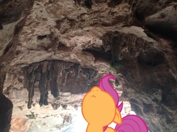 Size: 1024x765 | Tagged: safe, artist:didgereethebrony, scootaloo, g4, borenore caves, cave, didgeree collection, irl, mlp in australia, photo, ponies in real life, solo, stalactite