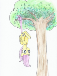 Size: 600x800 | Tagged: safe, artist:astevenamedwolf, fluttershy, pegasus, pony, g4, behaving like a bat, female, folded wings, hanging, hanging upside down, hooves to the chest, implied flutterbat, prehensile tail, silly, silly pony, solo, traditional art, tree, tree branch, upside down