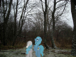 Size: 1024x768 | Tagged: safe, artist:elisdoominika, oc, oc only, oc:sweet elis, oc:thinker blue, forest, hat, irl, photo, ponies in real life, snow, walking, winter