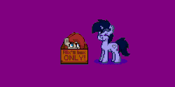Size: 600x300 | Tagged: safe, alternate version, artist:php142, oc, oc only, oc:ponepony, oc:purple flix, earth pony, pony, unicorn, pony town, :t, angry, animated, bouncing, box, cute, eyes closed, female, male, mare, pony in a box, purple background, simple background, stallion
