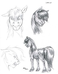 Size: 1100x1394 | Tagged: safe, artist:baron engel, oc, oc only, oc:lights out, pony, angry, grayscale, male, monochrome, pencil drawing, simple background, sketch, stallion, traditional art, unshorn fetlocks, white background