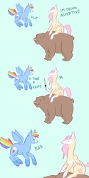 Size: 640x1280 | Tagged: safe, artist:dappledapple, fluttershy, rainbow dash, bear, pegasus, pony, g4, assertive, coat markings, colored hooves, comic, dialogue, duo, female, flying, green background, hoof hold, knife, mare, ponies riding bears, riding, riding a bear, simple background, socks (coat markings), unshorn fetlocks, weapon