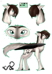 Size: 3905x5500 | Tagged: safe, artist:lastaimin, oc, oc only, pegasus, pony, absurd resolution, colored wings, eye, eyes, male, reference sheet, simple background, solo, stallion, transparent background