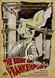 Size: 1358x1920 | Tagged: safe, artist:rariedash, pony, galacon, bride of frankenstein, movie poster, parody