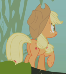 Size: 343x382 | Tagged: safe, screencap, applejack, earth pony, pony, bridle gossip, g4, appletini, butt, cropped, female, freckles, mare, plot, raised hoof, rear view, solo