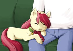 Size: 2560x1786 | Tagged: safe, artist:haru_s, roseluck, earth pony, human, pony, behaving like a cat, commissioner:doom9454, couch, cute, eyes closed, female, mare, missing cutie mark, pet collar, pet tag, petting, pony pet, rosepet, sleeping