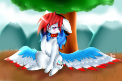 Size: 1024x681 | Tagged: safe, artist:anasflow, oc, oc only, oc:lovely delirious, pegasus, pony, chest fluff, choker, colored wings, eye scar, female, mare, multicolored wings, scar, sitting, solo, spiked choker, tree