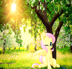 Size: 492x468 | Tagged: safe, artist:tergas12, fluttershy, pegasus, pony, g4, chest fluff, grass, irl, looking at you, one eye closed, one wing out, photo, ponies in real life, raised hoof, sitting, smiling, solo, sunlight, under the tree, wings, wink
