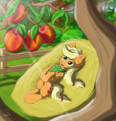 Size: 2868x3000 | Tagged: safe, artist:cluvry, applejack, earth pony, pony, g4, apple, apple tree, bandana, crepuscular rays, female, fence, food, hay bale, high res, looking up, lying down, mare, missing accessory, on back, open mouth, relaxing, smiling, solo, sunlight, tree, tree pov