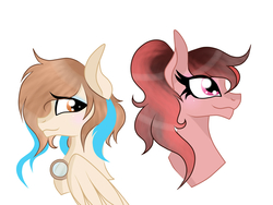 Size: 1400x1050 | Tagged: safe, artist:owocrystalcatowo, oc, oc only, oc:ocean drop, pegasus, pony, bust, female, mare, portrait, simple background, white background