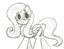 Size: 2525x1925 | Tagged: safe, artist:ciy-e, fluttershy, pegasus, pony, g4, black and white, blushing, female, folded wings, grayscale, looking at you, mare, monochrome, smiling, solo, traditional art
