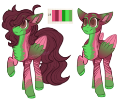 Size: 1467x1235 | Tagged: safe, artist:wishing-well-artist, oc, oc only, pegasus, pony, base used, female, mare, raised hoof, reference sheet, simple background, solo, transparent background