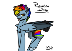 Size: 3500x2500 | Tagged: safe, artist:lrusu, rainbow dash, pony, g4, chest fluff, ear piercing, g5 concept leak style, g5 concept leaks, high res, looking at you, male, piercing, rainbow blitz, rainbow dash (g5 concept leak), rule 63, simple background, solo, tongue out, white background