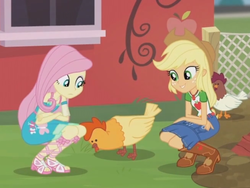 Size: 2048x1536 | Tagged: safe, screencap, applejack, fluttershy, butterfly, chicken, equestria girls, fluttershy's butterflies, fluttershy's butterflies: applejack, g4, my little pony equestria girls: better together, boots, cowboy boots, female, geode of super strength, sandals, shoes, squatting
