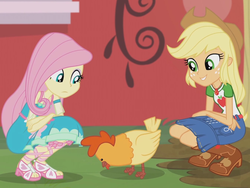 Size: 2048x1536 | Tagged: safe, screencap, applejack, fluttershy, chicken, equestria girls, fluttershy's butterflies, fluttershy's butterflies: applejack, g4, my little pony equestria girls: better together, boots, cowboy boots, female, geode of super strength, sandals, shoes, squatting