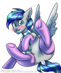 Size: 2000x2400 | Tagged: safe, artist:bigmoon206, oc, oc only, oc:storm feather, pegasus, pony, blushing, clothes, crossdressing, dock, featureless crotch, high res, male, pink socks, scarf, simple background, socks, solo, stallion, transparent background