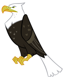 Size: 5000x6000 | Tagged: safe, artist:gurugrendo, bald eagle, bird, eagle, absurd resolution, ambiguous gender, animal, resource, simple background, solo, transparent background, vector