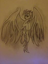 Size: 1934x2579 | Tagged: safe, artist:blizzcolt, oc, oc only, oc:nimble wing, pegasus, pony, flying, jewelry, large wings, looking down, male, necklace, sketch, solo, spread wings, wings
