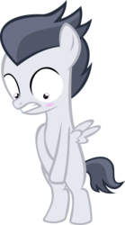 Size: 2627x4740 | Tagged: safe, artist:red4567, rumble, pegasus, pony, g4, bipedal, blushing, colt, covering, covering crotch, embarrassed, embarrassed nude exposure, looking down, male, naked rarity, nudity, simple background, solo, transparent background, vector, we don't normally wear clothes