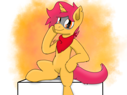 Size: 4056x3042 | Tagged: safe, artist:deejayarts, oc, oc only, pony, unicorn, bandana, clothes, featureless crotch, simple background, solo