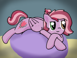 Size: 2048x1536 | Tagged: safe, artist:hgdb, oc, oc only, oc:talia lilac, pegasus, pony, heterochromia, solo