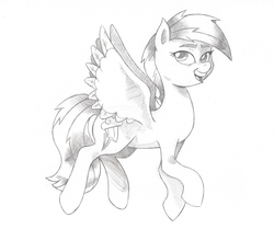 Size: 894x746 | Tagged: safe, artist:saturdaymorningproj, rainbow dash, pegasus, pony, g4, female, grayscale, mare, monochrome, open mouth, pencil drawing, simple background, solo, spread wings, traditional art, white background, wings