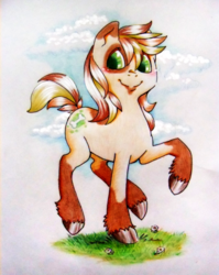 Size: 800x1004 | Tagged: safe, artist:walnutsprout, oc, oc only, earth pony, pony, earth pony oc, traditional art, unshorn fetlocks