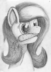 Size: 3000x4168 | Tagged: safe, artist:geljado, fluttershy, pegasus, pony, g4, bust, carrot, drawing, female, food, grayscale, mare, monochrome, mouth hold, sketch, solo, traditional art