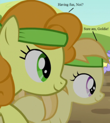 Size: 625x700 | Tagged: safe, edit, edited screencap, editor:korora, screencap, carrot top, cloud kicker, golden harvest, noi, brotherhooves social, g4, female, racing, sisters