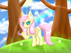 Size: 1024x768 | Tagged: safe, artist:x157258, fluttershy, pegasus, pony, g4, blushing, crepuscular rays, female, mare, raised hoof, solo, sun, tree