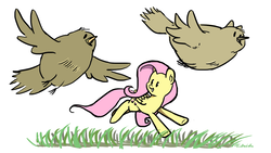 Size: 1000x563 | Tagged: safe, artist:foudubulbe, fluttershy, bird, pegasus, pony, g4, female, flying, grass, mare, running, simple background, white background