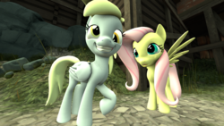 Size: 1920x1080 | Tagged: safe, derpy hooves, fluttershy, g4, 3d, source filmmaker