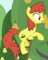Size: 205x255 | Tagged: safe, screencap, prickly pear (g4), earth pony, pony, g4, the perfect pear, background pony, cropped, food, ladder, pear, pear family member, pear tree, solo