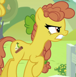 Size: 905x920 | Tagged: safe, screencap, cinnamon pear, earth pony, pony, g4, the perfect pear, angry, background pony, bow, braid, cropped, female, food, frown, glare, gritted teeth, hair bow, mare, pear, pear family member, pear tree, raised hoof, solo