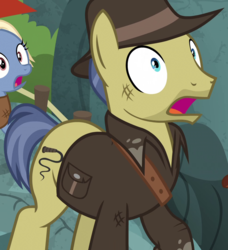 Size: 985x1080 | Tagged: safe, screencap, gentiana, indiana pones, earth pony, pony, g4, shadow play, archaeologist, clothes, cropped, hat, indiana jones, jacket, male, solo focus, stallion