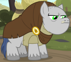 Size: 785x690 | Tagged: safe, screencap, bell tolls, earth pony, pony, g4, shadow play, male, solo, stallion
