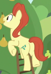 Size: 188x275 | Tagged: safe, screencap, sweet strike, earth pony, pony, g4, the perfect pear, background pony, butt, cropped, food, ladder, male, pear, pear family member, pear tree, plot, solo, stallion, underhoof